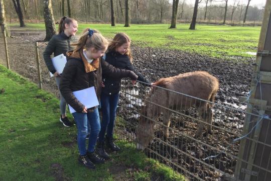 Bezoek kinderboerderij