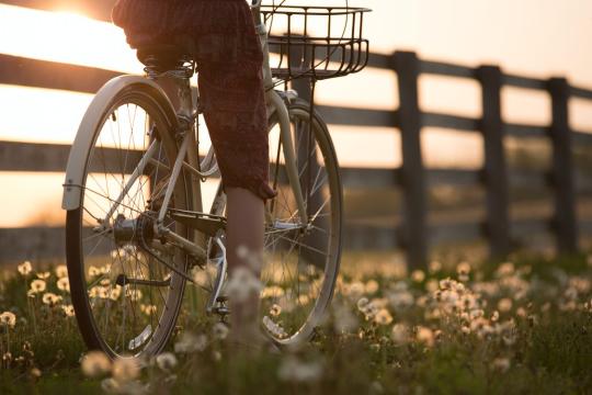 Fietscontrole Veilig Verkeer Nederland
