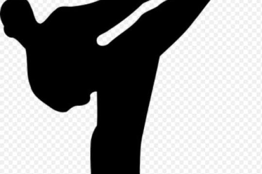 Karate les Koers 1